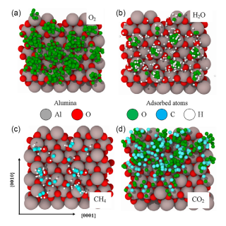 Pozycje adsorbcji badanych cząsteczek: a) tlenu, b) wody, c) metanu i d) dwutlenku węgla. Widoczny jest fakt, że adsorbcja częściej występuje na atomach glinu (szare). Źródło:  https://doi.org/10.1002/pssb.202200567